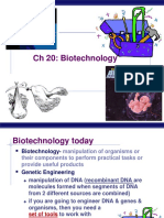 CH 20: Biotechnology: AP Biology