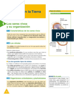 1 Celulas PDF