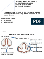 Organum Visualis 2015t