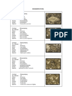 Deskripsi Foraminifera Besar.docx