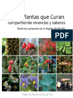 plantas-que-curan-140312200455-phpapp02.pdf