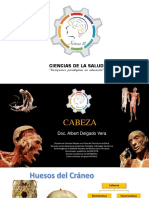 Cabeza y Neuro 1 PDF