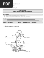Prueba Cs Naturales Unidad 1 Tercero