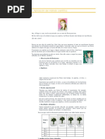 Aplicacion Del Metodo Cientifico