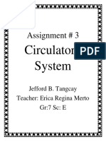 Assignment # 3: Circulatory System