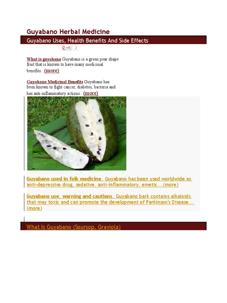 Guyabano Herbal Medicine Inflammation Wellness