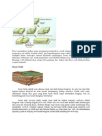 Mengenal Sesar Fault