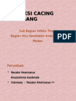 Infeksi Cacing Tambang