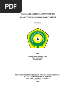 Download MAKALAH BAKTERIOLOGI VETERINER by Olin Yohanes SN357975704 doc pdf