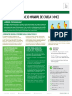 Ficha Técnica - Manejo Manual de Carga