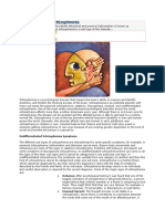 Undifferentiated Schizophrenia