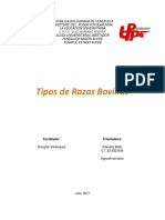 INTRODUCCIÓ2.docx