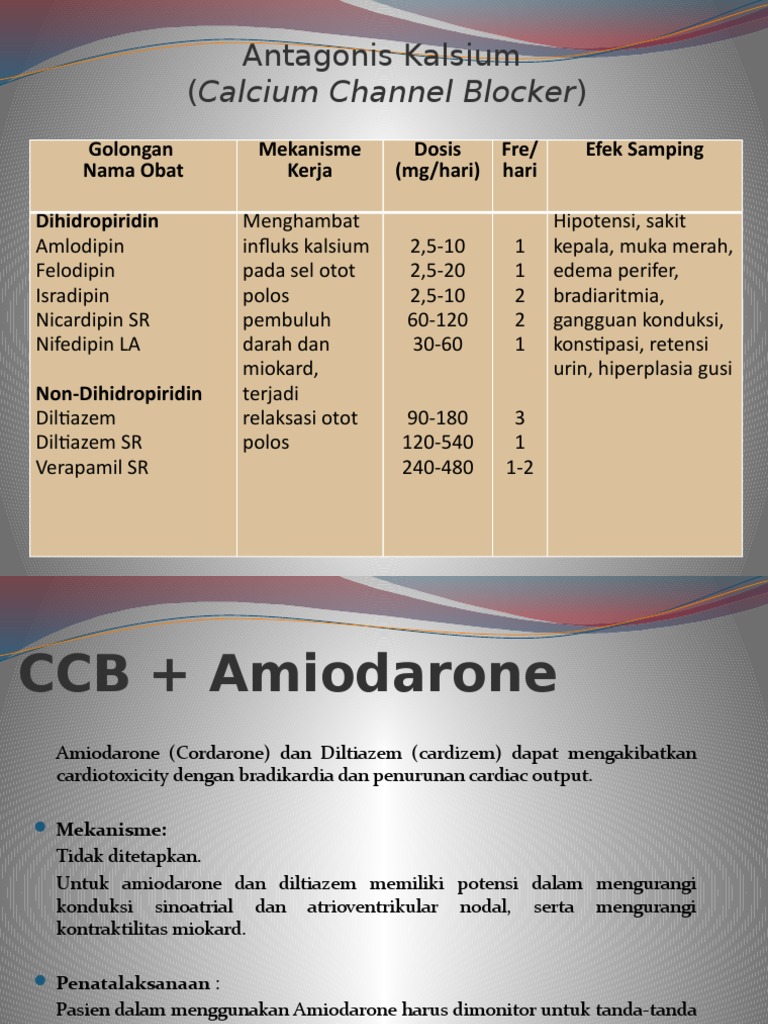 Calcium Chanel Blocker | PDF | Sains & Matematika