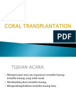 Coral Transplantation