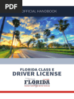 FL Driverhandbook 17