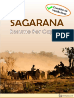 Sagarana: Resumo Por Capítulo