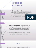 Electroforesis de Proteínas Urinarias