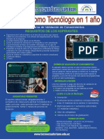 Volante para Web 2 PDF