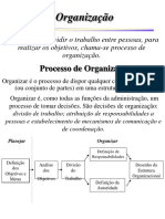 03 - Organização (Livro Maximiano)