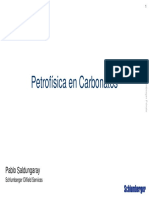 6. Petrofisica en Carbonatos.pdf