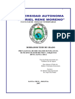 ZAO DE AGUIAR-20101104-110155.pdf