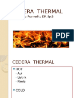 Cedera Thermal