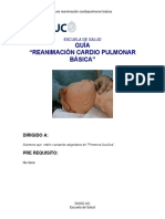 TALLER RCP.pdf