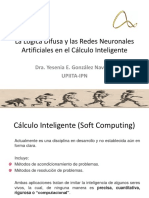 La Lógica Difusa y Las Redes Neuronales Artificiales en El Cálculo Inteligente