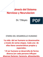 2 - Embriogénesis Del Sistema Nervioso y Neurulacion2