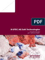 Salt Technologies PDF