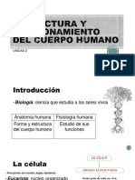 Estructura y Funcionamiento Del Cuerpo Humano