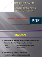 2.anatomi Dan Patofisiologi Iva 2