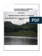 EIA Puente La Concordia PDF