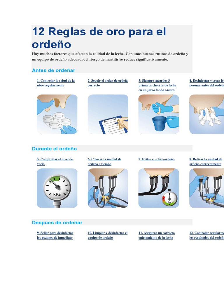 Ordeño | PDF | Leche | Vacas