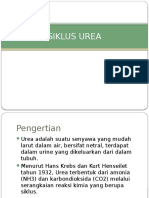 SIKLUS UREA DAN REKAYASA GENETIKA