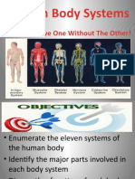 Human Body Systems: You Can't Have One Without The Other!