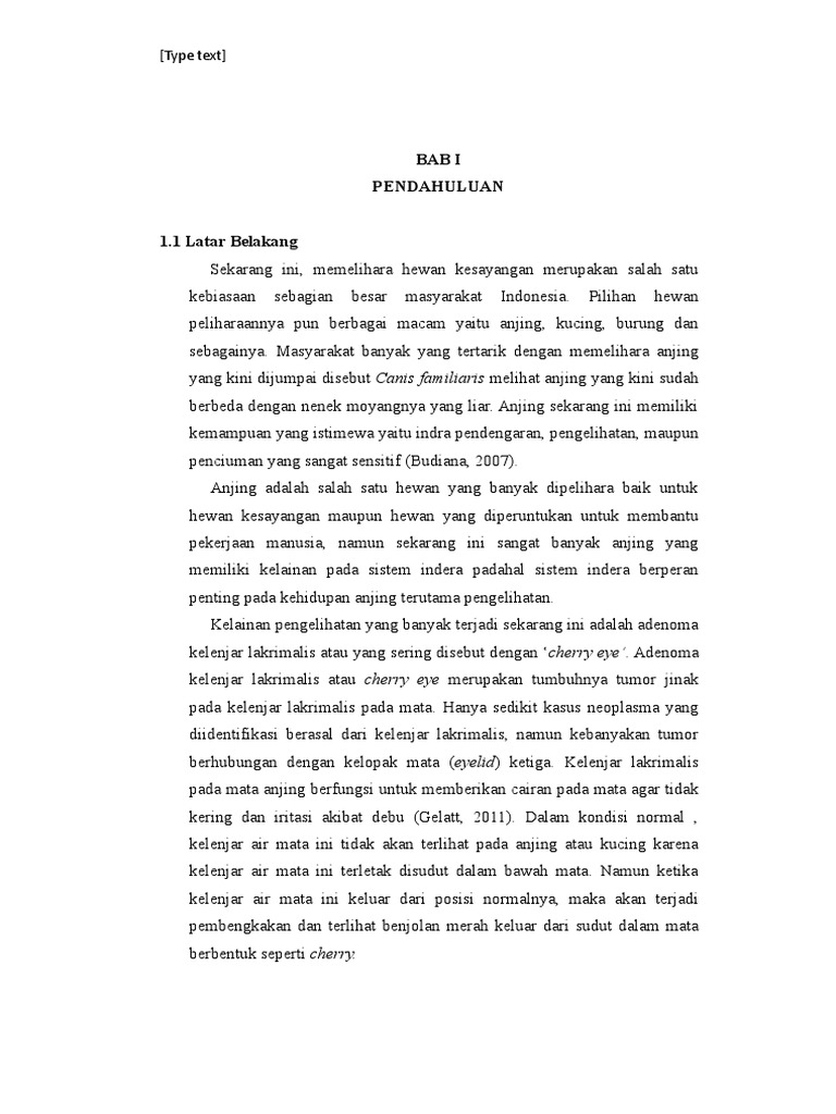 Cherry Eye Bedah PDF