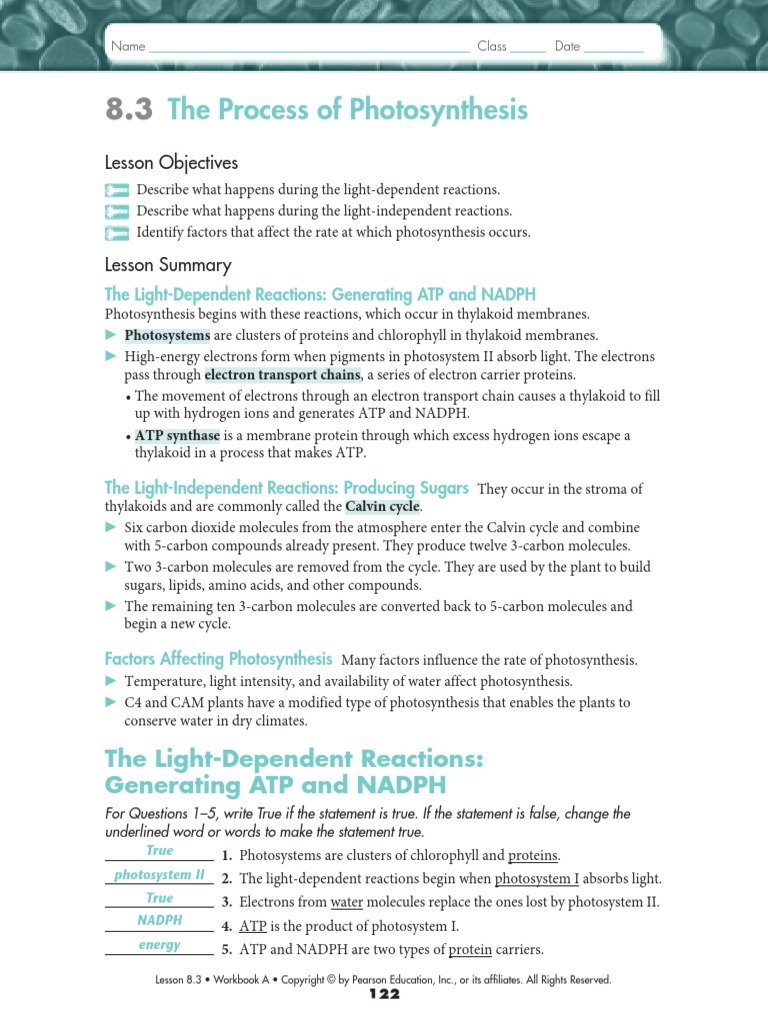 Photosynthesis Worksheet 2 Key Photosynthesis Adenosine Triphosphate
