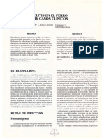 osteomelitis.pdf