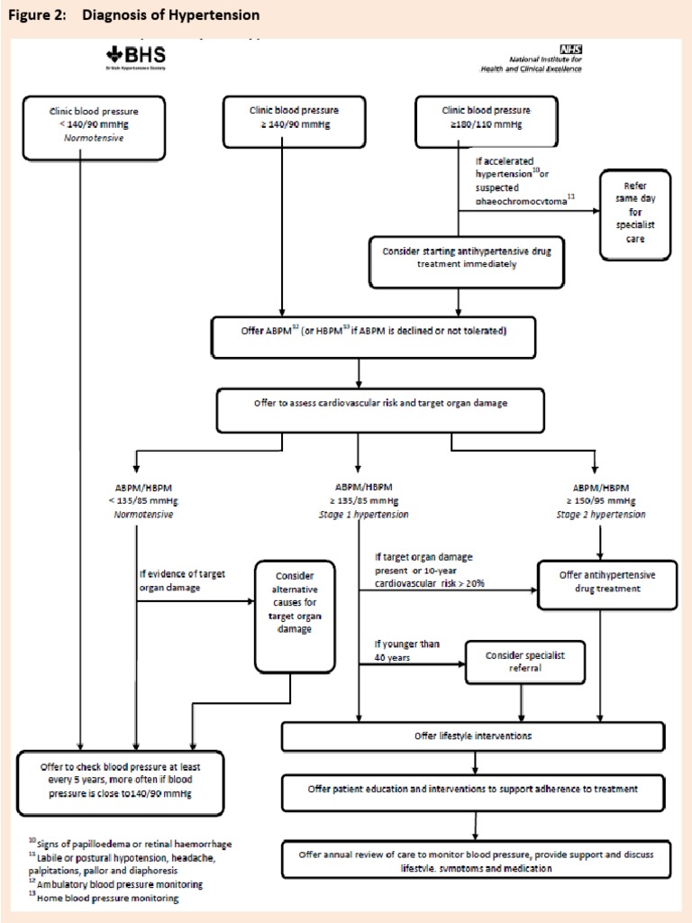 Figure 2: Diagnosis of Hypertension | PDF