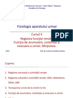 Ren-Curs4 2015 PDF