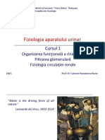 Ren-Curs1_2015.pdf