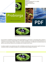 Probiorga.pptx