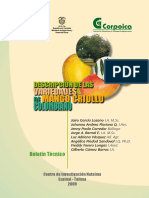 Variedade de Mango PDF