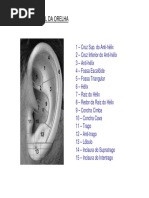 Apostila Resumo Auriculoterapia