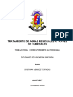 Trabajo Final - Tratamiento de Aguas Residuales A Través de Humedales