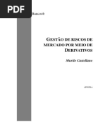 Apostila Gestao de Riscos