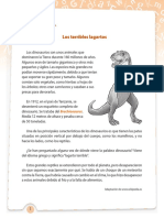 Texto Informativo PDF