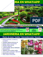 Jardineria en Naturopatia Grupos Whatsapp Beneficios Membresia 2017