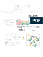 Bioseñalizacion Foro Resumen